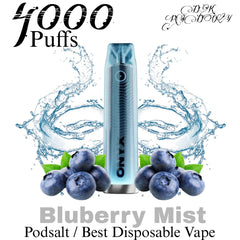 Pod Salt Onyx Blueberry Mist 20mg 4000 Puffs in Dubai UAE