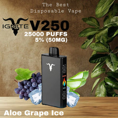IGNITE V250 Grape Ice  25000 Puffs Disposable Vape in UAE