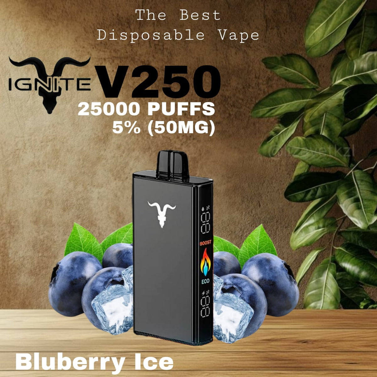 IGNITE V250 Blueberry ice 25000 Puffs Disposable Vape in UAE