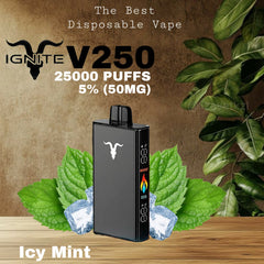 IGNITE V250 Icy Mint 25000 Puffs Disposable Vape in UAE