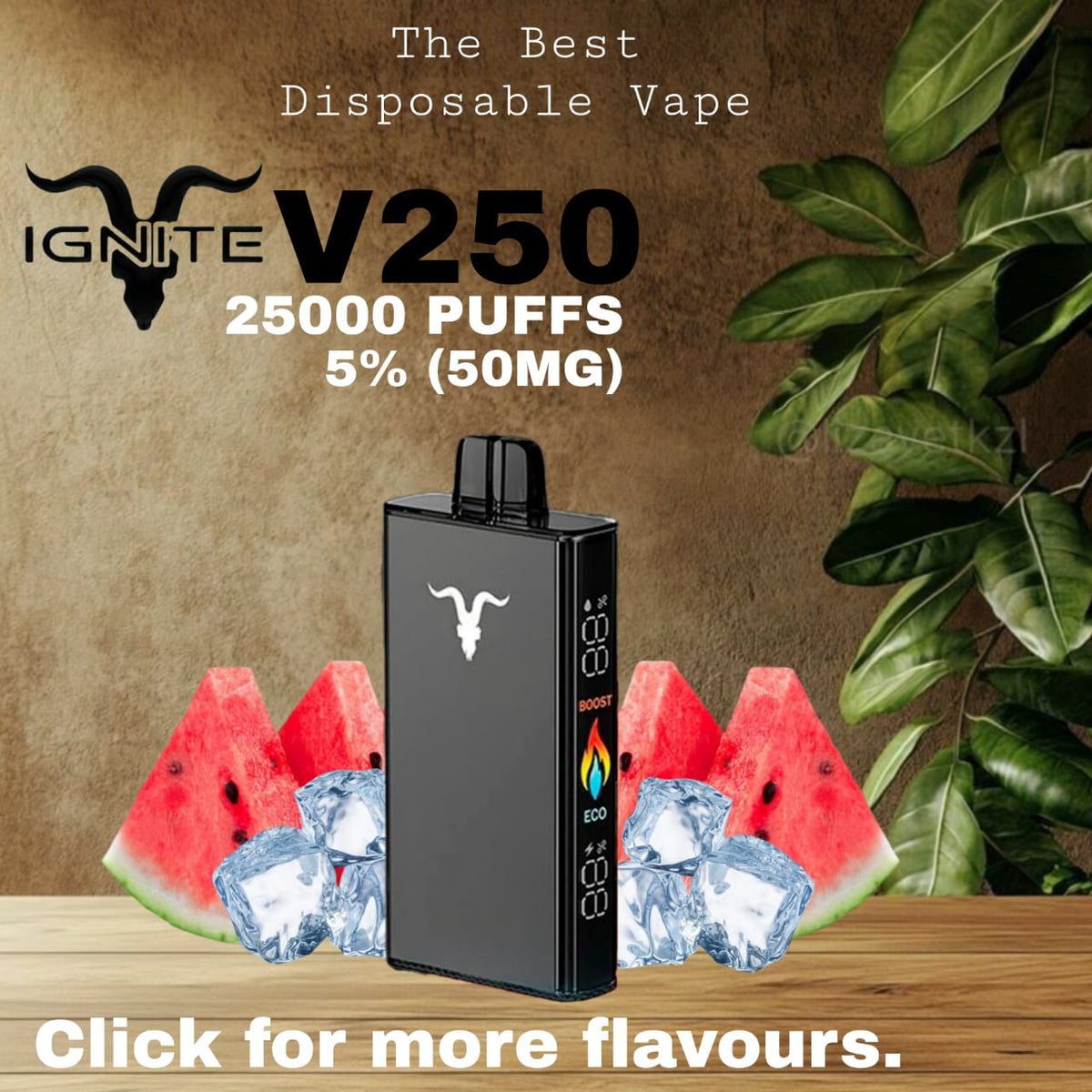 IGNITE V250 Watermelon Ice 25000 Puffs Disposable Vape in UAE