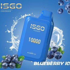 Blueberry Ice ISGO Bar 10000 puffs disposable vape in Dubai